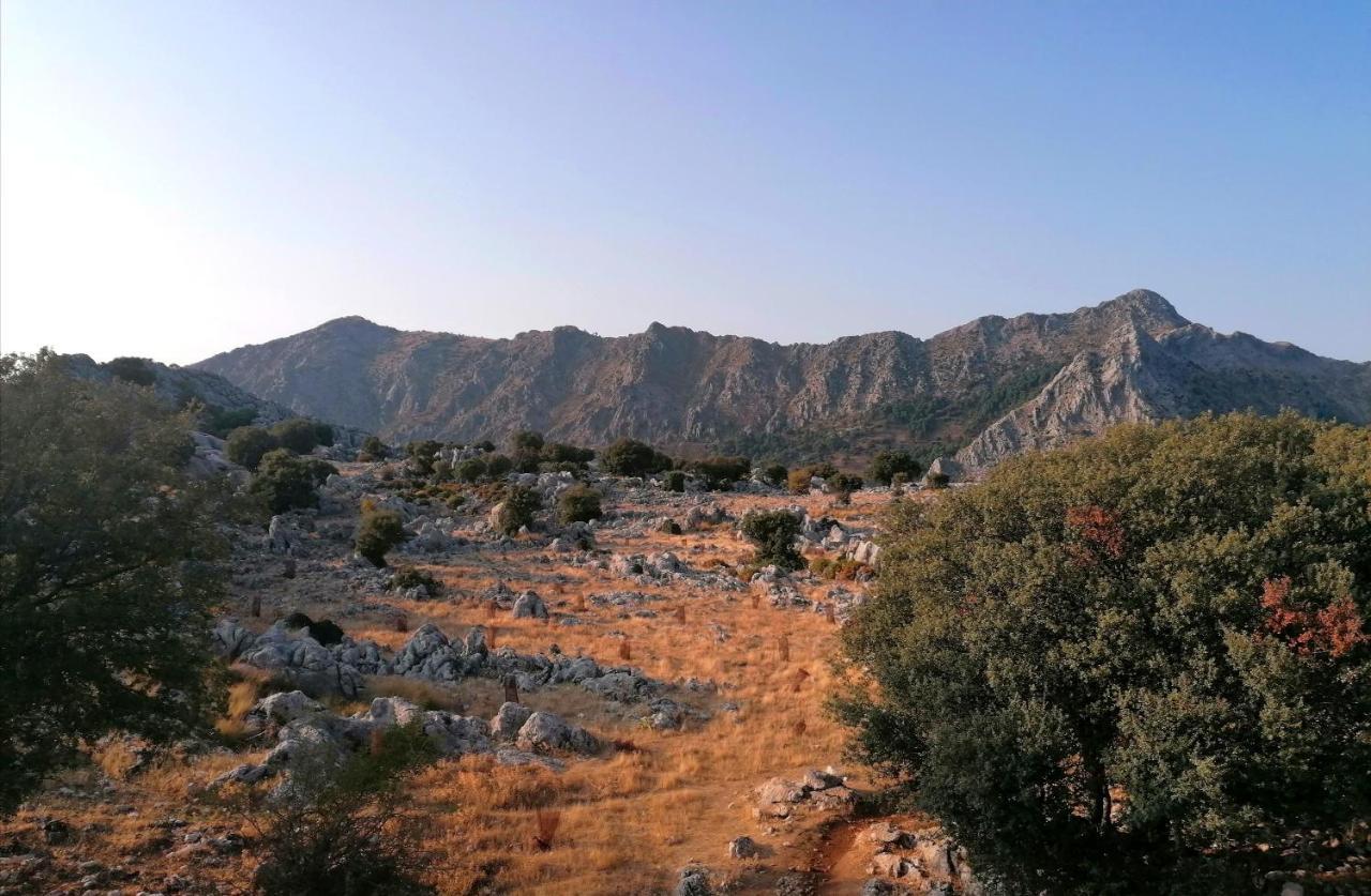 Casas Las Piedras De Agua Grazalema Kültér fotó
